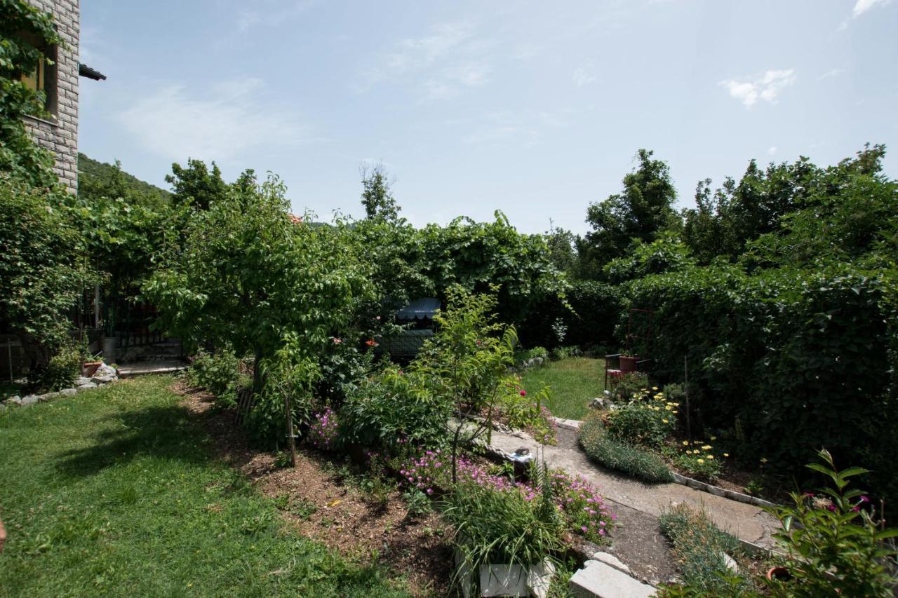 Apartments Frkovic Ledenice Exterior photo